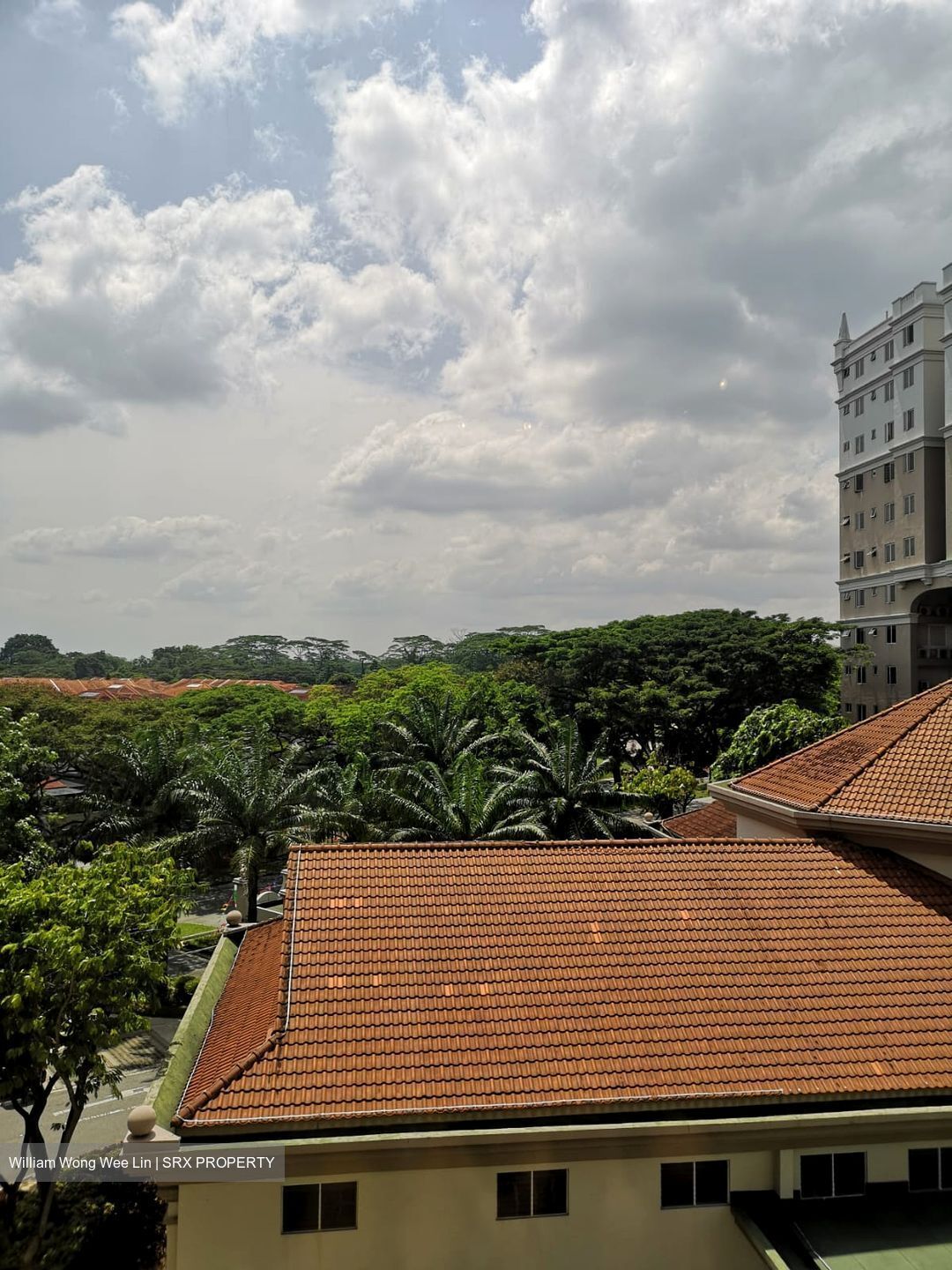 Castle Green (D26), Condominium #502782971